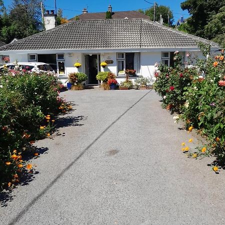 בנדון Saint Martin'S Bed And Breakfast מראה חיצוני תמונה