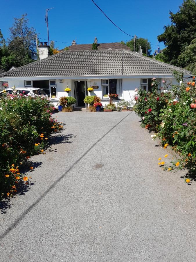 בנדון Saint Martin'S Bed And Breakfast מראה חיצוני תמונה