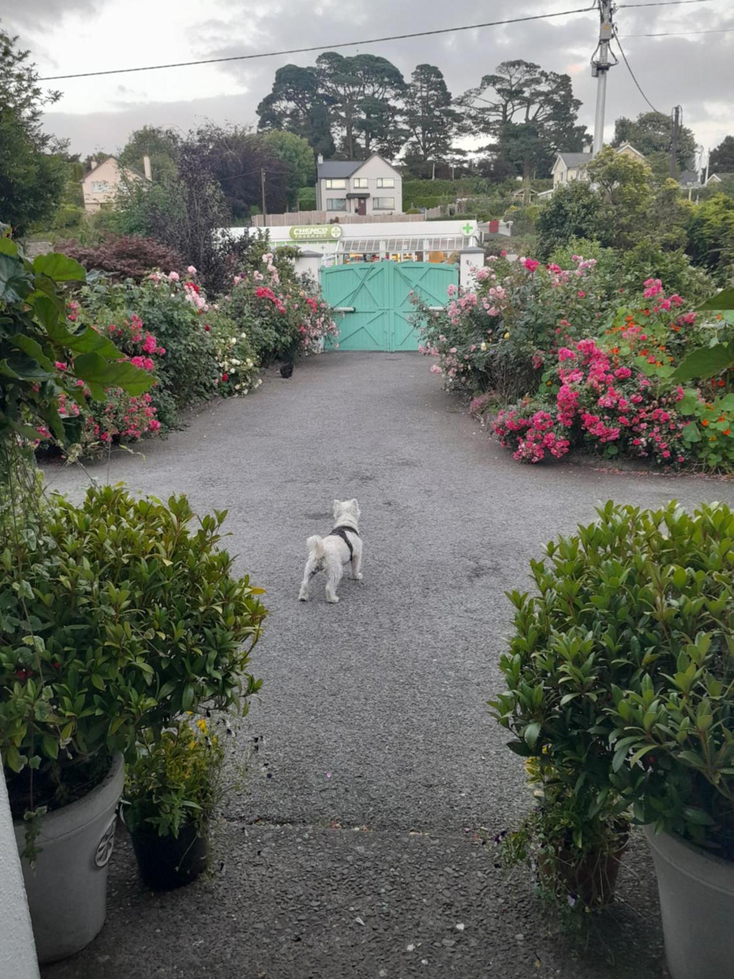 בנדון Saint Martin'S Bed And Breakfast מראה חיצוני תמונה